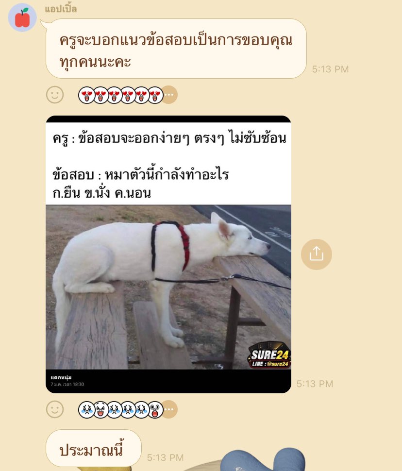 ꪔ̤̥ บรรยงลี tweet media