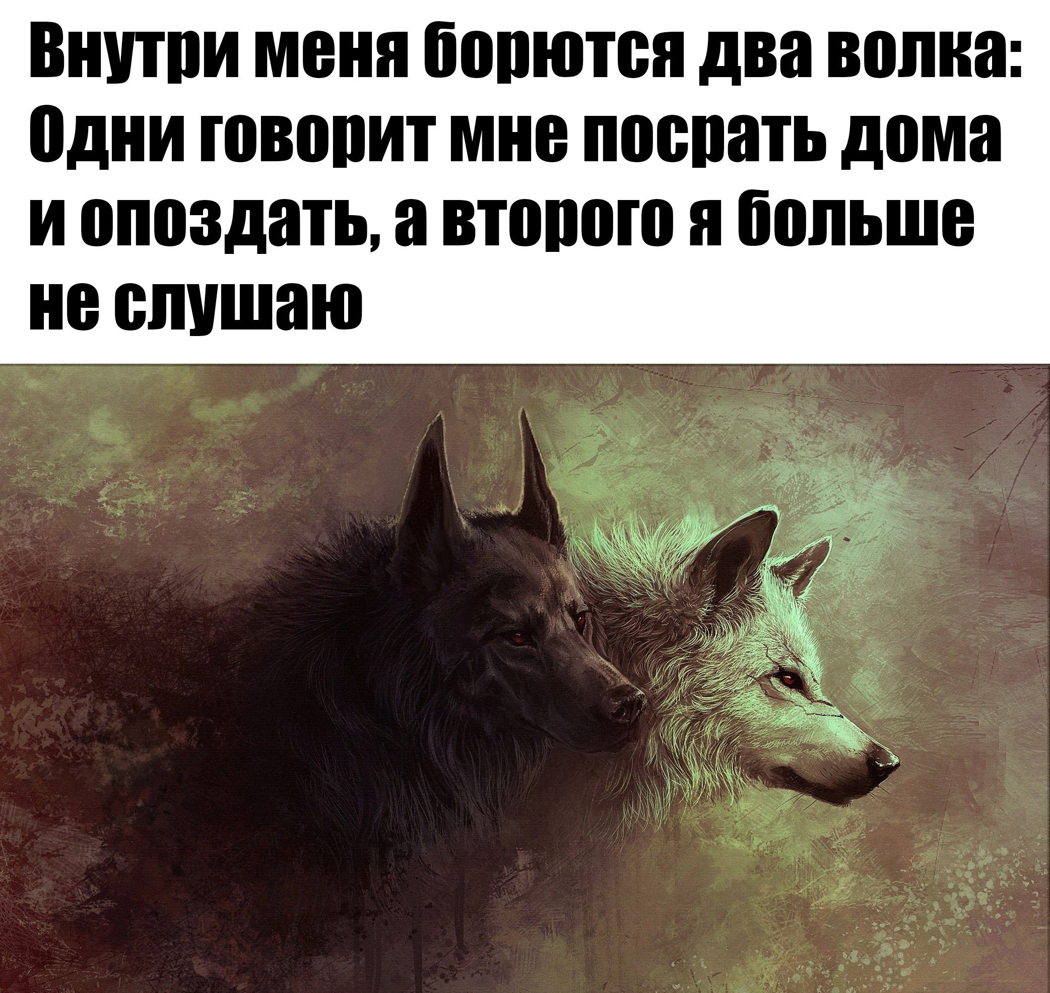 Celtic Music Wolf Princess