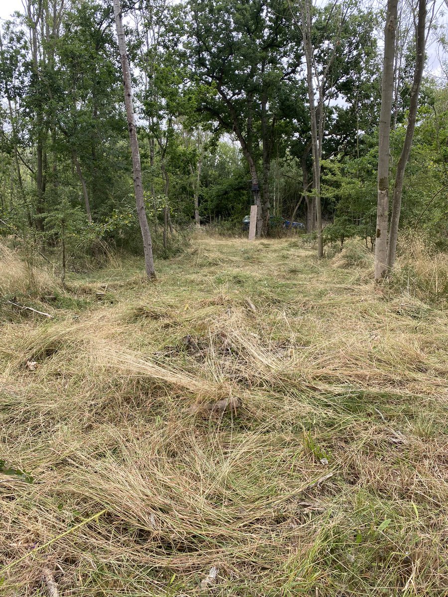 These past two weeks, the team has been cutting glades, rides, access paths and stalker lanes <a href="/BramptonWood/">Brampton Wood Fuels</a>. The sections cut rotate between years so that there’s always overwintering habitat for wildlife. <a href="/wildlifebcn/">The Wildlife Trust for Beds, Cambs & Northants</a>