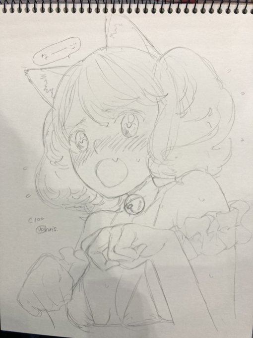 今日描いたスケブのうちの一部、ネコミミオリキャラと女ルフレ 