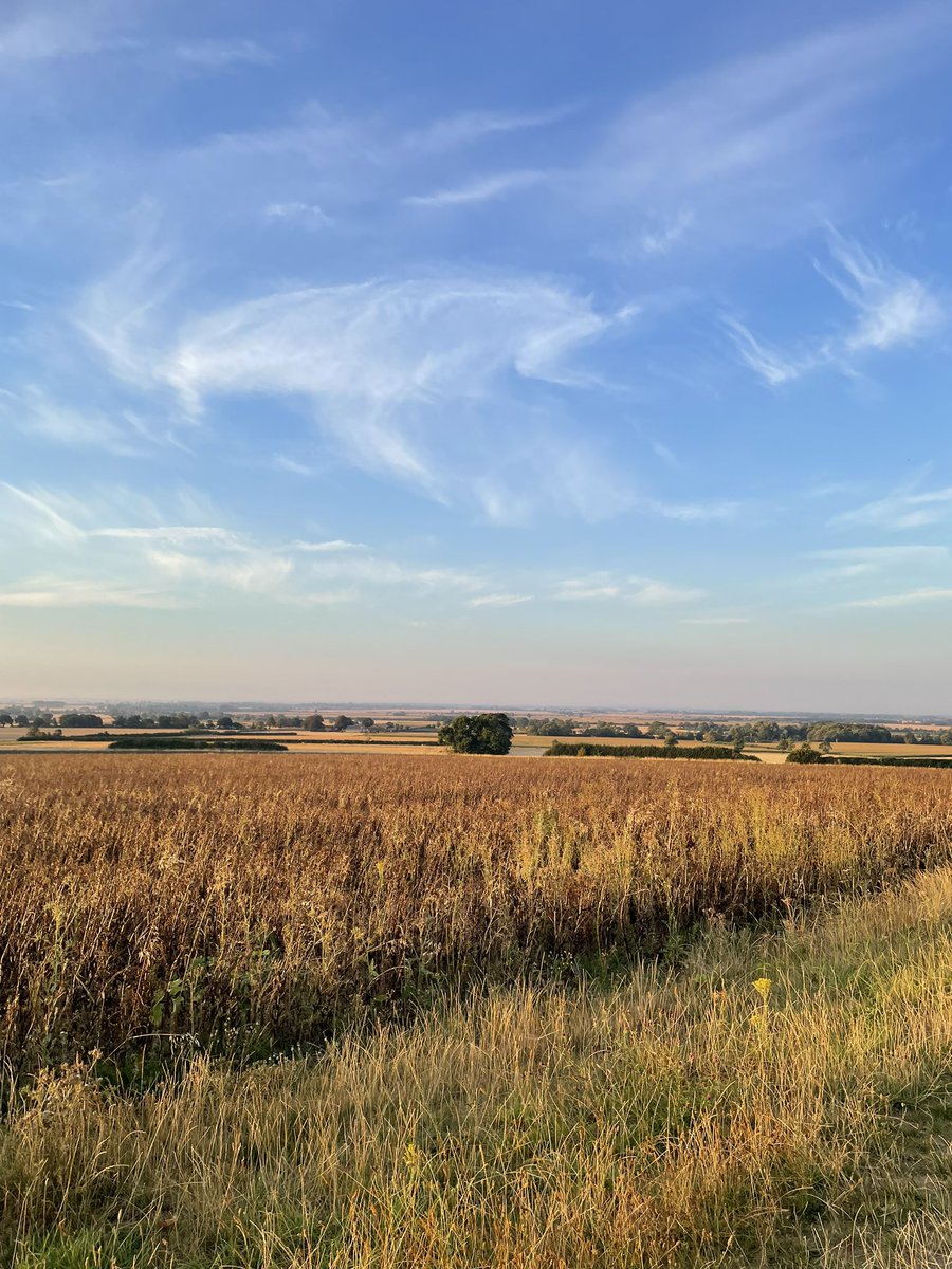 neilwalk's tweet photo. 5:46am start for my 11 mile run today to beat the temperature #heatwave #sunrise #ukrunchat #newbalance https://t.co/tJjKj7U2OS