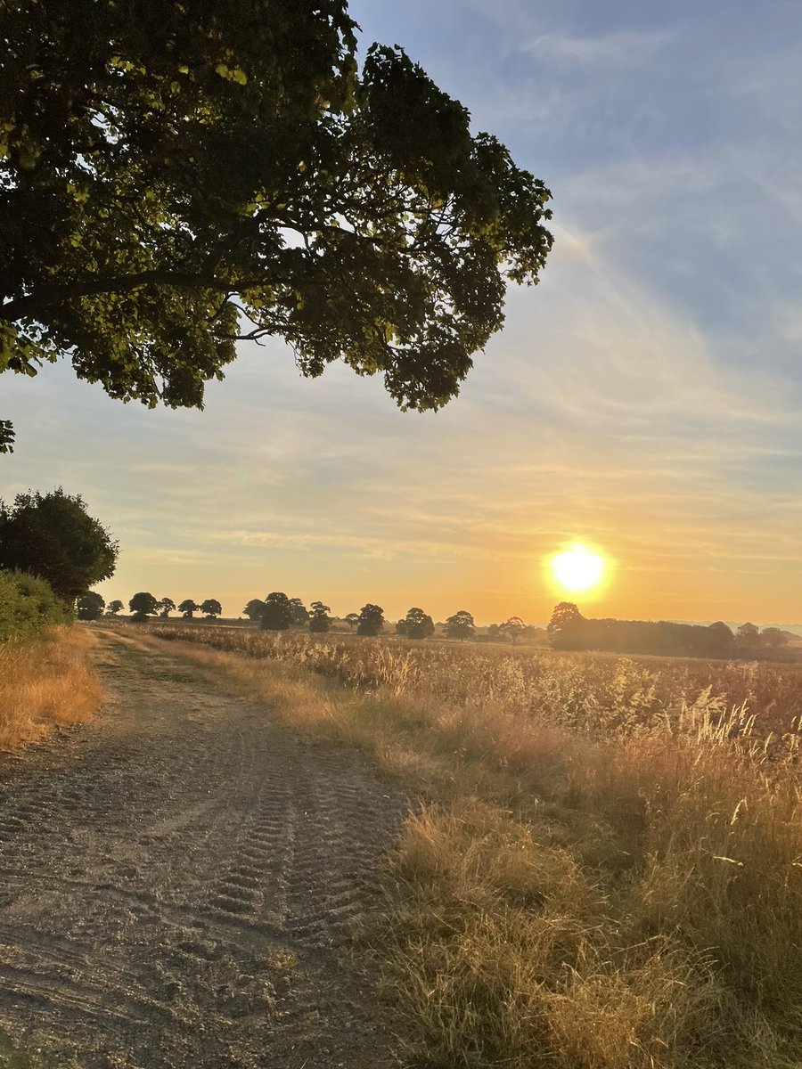 neilwalk's tweet photo. 5:46am start for my 11 mile run today to beat the temperature #heatwave #sunrise #ukrunchat #newbalance https://t.co/tJjKj7U2OS