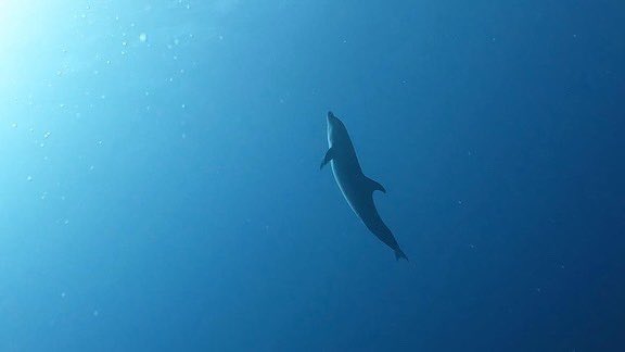 Gdu24's tweet photo. #TiputaPass #Rangiroa https://t.co/k8dmzVM0Ft
