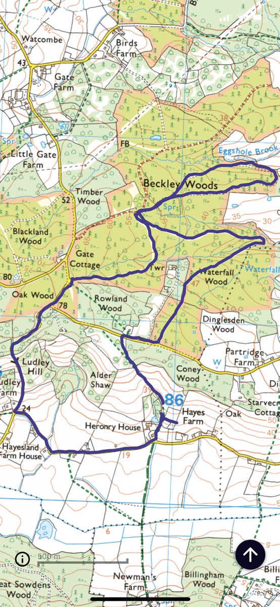 timmottram's tweet photo. 8 km walk through Buckley Woods at 0530 this morning, saw baby deers, baby foxes and numerous rabbits. Deserve my cuppa and digestive. https://t.co/1XDxNvgFAD