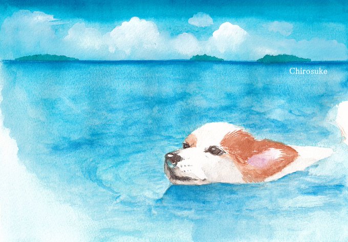 「swimming watercolor (medium)」 illustration images(Latest)