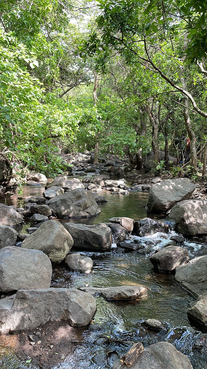 available_nt's tweet photo. Enjoying the freedom to go anywhere and with no carbon footprint 🥳. Only things i leave behind are my footprints. Went deep into the nature for a trek at mulapadu forest with my Ola S1 pro. #FreedomRide #EndICEAGE  @bhash @OlaElectric https://t.co/wXn2ETeOJj