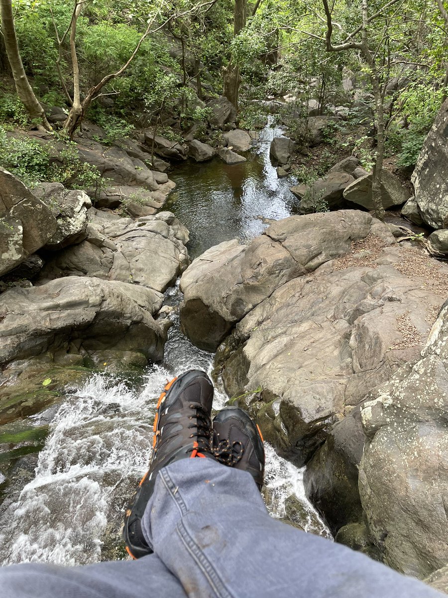 available_nt's tweet photo. Enjoying the freedom to go anywhere and with no carbon footprint 🥳. Only things i leave behind are my footprints. Went deep into the nature for a trek at mulapadu forest with my Ola S1 pro. #FreedomRide #EndICEAGE  @bhash @OlaElectric https://t.co/wXn2ETeOJj