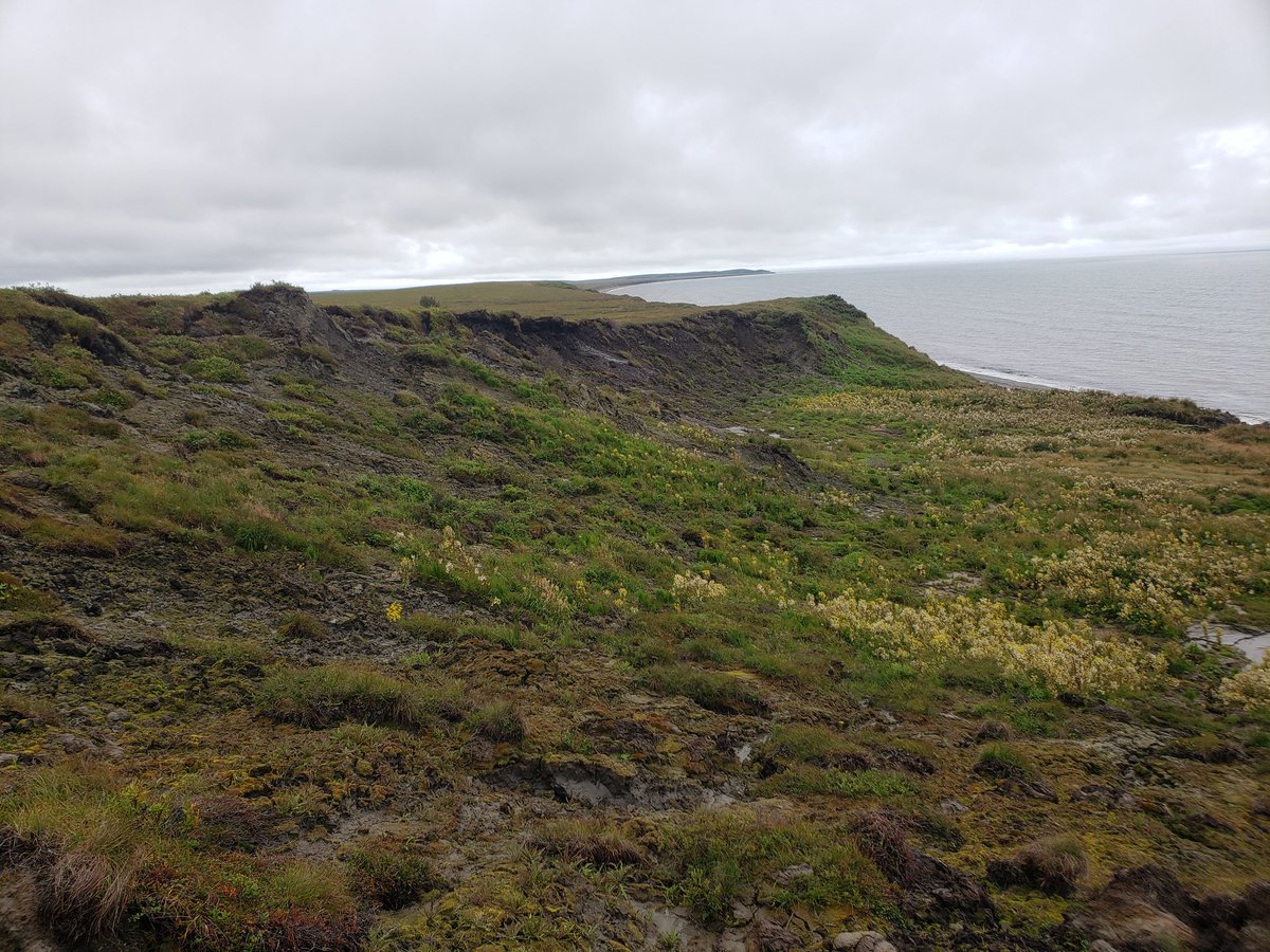 Permafrost Remote Sensing @ AWI tweet media