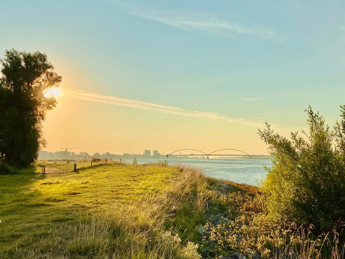 ArieJanVT's tweet photo. Mooi rondje #avelingen vanmorgen waar de #droogte goed zichtbaar is. #bovenhardinxveld @HardinxveldNL @staatsbosbeheer @wsrivierenland #landschap #landscapephotography https://t.co/RvByFWgo4K