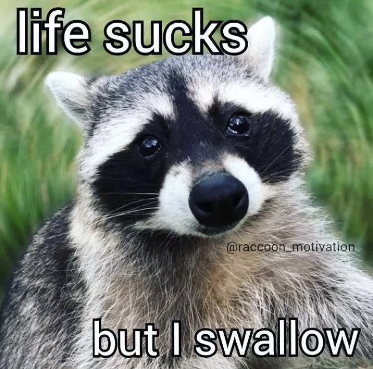 What’re you gonna do about it 😎