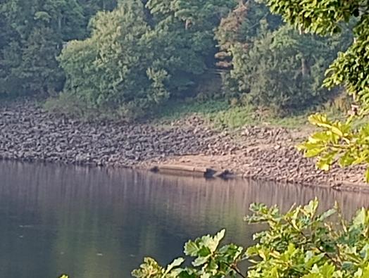 SimonBTemple's tweet photo. #damflask #depth #damflaskdepth 64ft https://t.co/DdT9l3i2H0