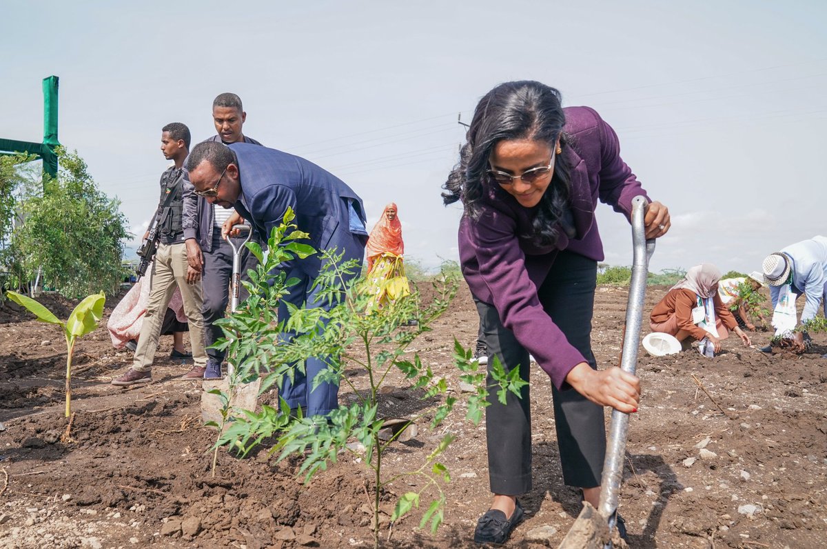 AbiyAhmedAli's tweet photo. The 4 years since we launched #GreenLegacy has demonstrated to us that we are a people that can ideate, plan and accomplish. We planned 20bil and achieved 25bil. Ours has been an inspiration for many throughout the world. We will continue building on our green culture! https://t.co/StUvA6Hbac
