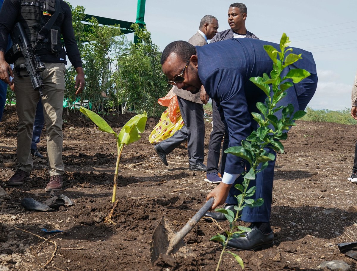 AbiyAhmedAli's tweet photo. The 4 years since we launched #GreenLegacy has demonstrated to us that we are a people that can ideate, plan and accomplish. We planned 20bil and achieved 25bil. Ours has been an inspiration for many throughout the world. We will continue building on our green culture! https://t.co/StUvA6Hbac