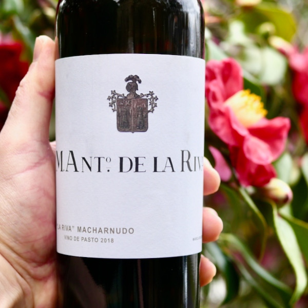 Bodegas Luis Pérez Fino Caberrubia NV Saca III ➺ Shop l8r.it/67bQ
​•
The new wave are making incredible finos! 

Like skiing down an intermediate slope, deep &amp; winding not too rushed, explore the chalk, every delicate switch &amp; fold of texture &amp; flavour.