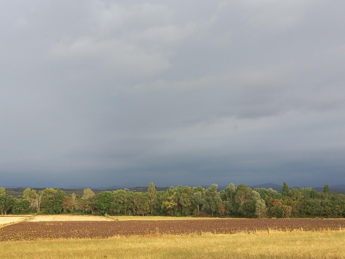 MeteoFrance_SE's tweet photo. ⛈️ Les #orages s'activent fortement sur un axe Montpellier-Alès et se décalent lentement, menaçant les zones plus à l'est et notamment littorales.
⚠️ Soyez prudent sur ces secteurs #vigilanceOrange 🟠
📷 Canaules-et-Argentières (30) #obsParticipatives https://t.co/As7EX0dmtA