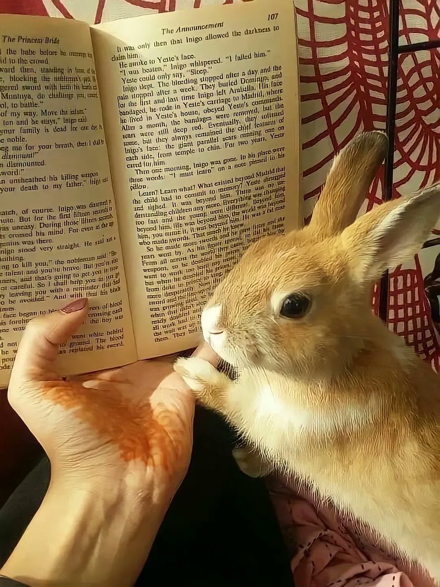 Cute Animals tweet media