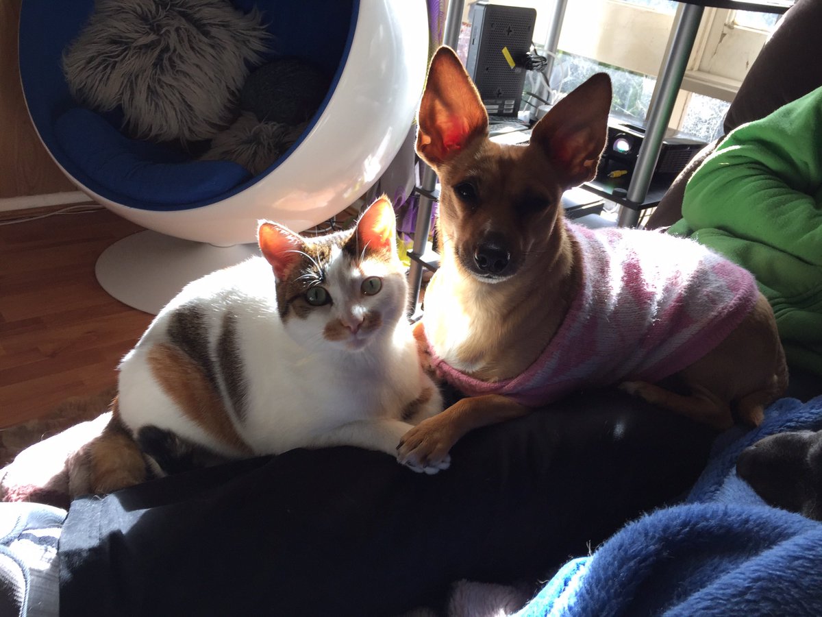 Tathra Street tweet media