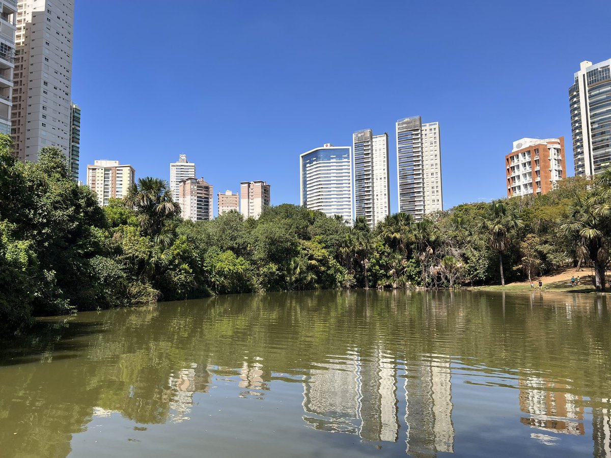 Gerry McKenna tweet media