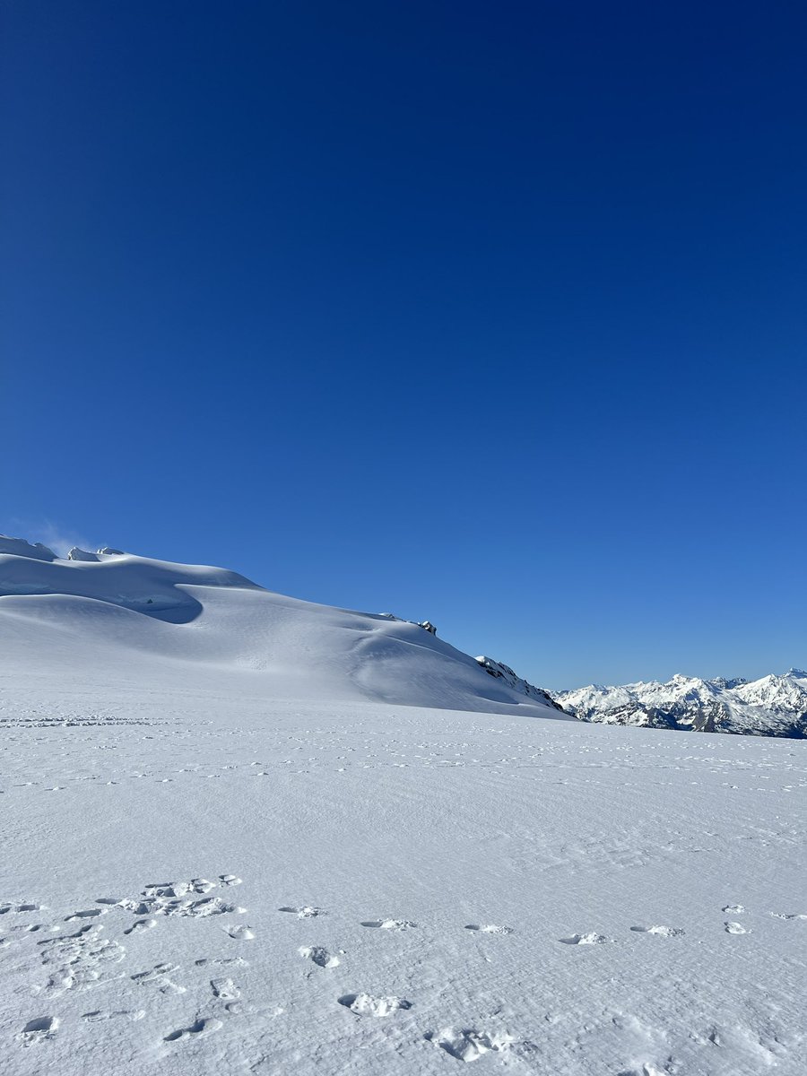 Finally made it to Milford Sound.  And, because it was our 20th wedding anniversary, we went took a chopper to a glacier.  

Pretty incredible.