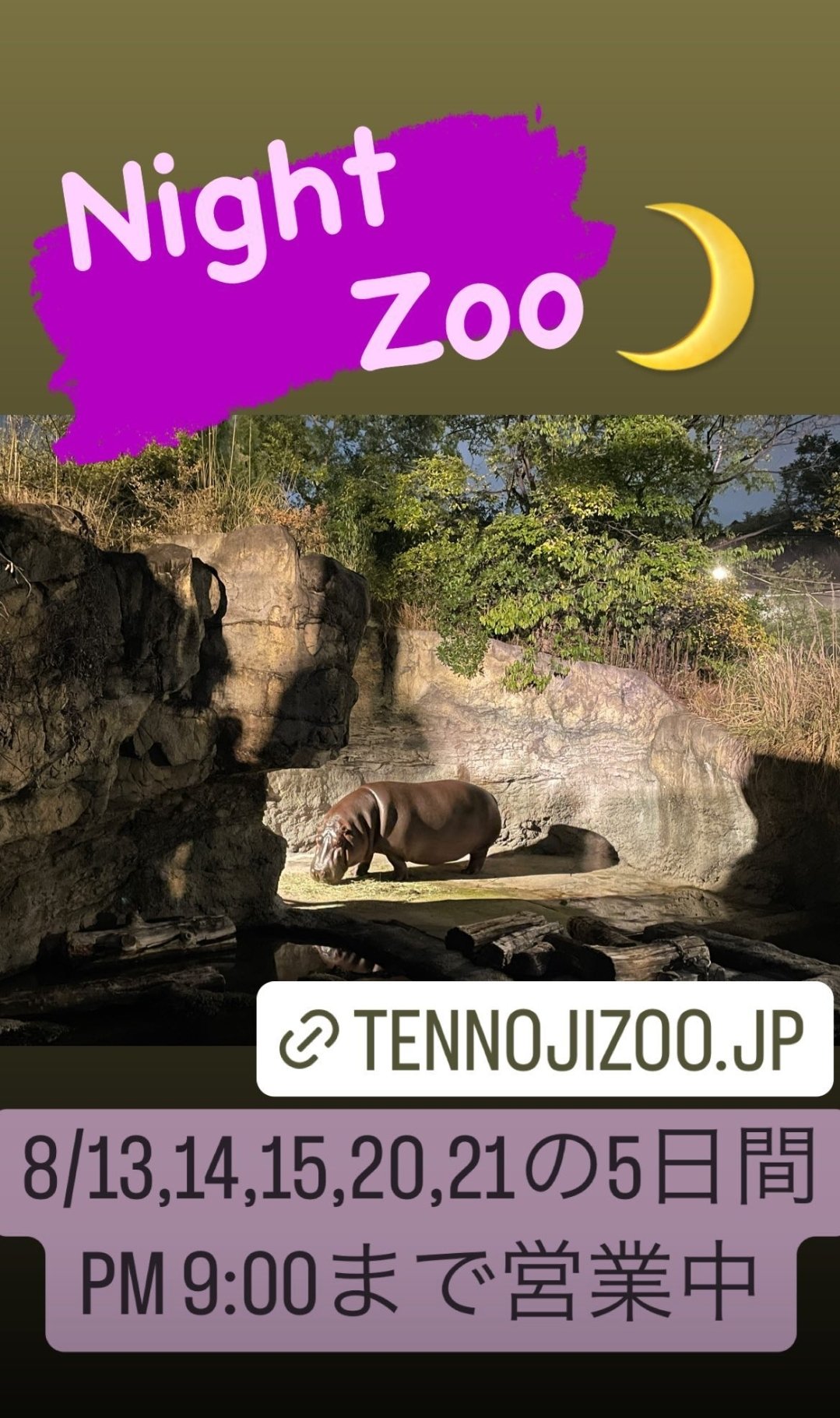 柚希くらら 유즈키쿠라라 天王寺動物園 ナイトzoo T Co Lhie3ucqn0 Twitter