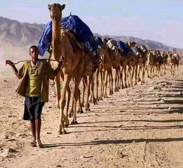 O_A_Dalmar's tweet photo. Hibooy ratigeenu
  Markuu hinqan waayo
  Ayaan huri waaga
  Haleel cuskadaaye
 Habayn ma wadaagno https://t.co/nAWzeXrgHJ