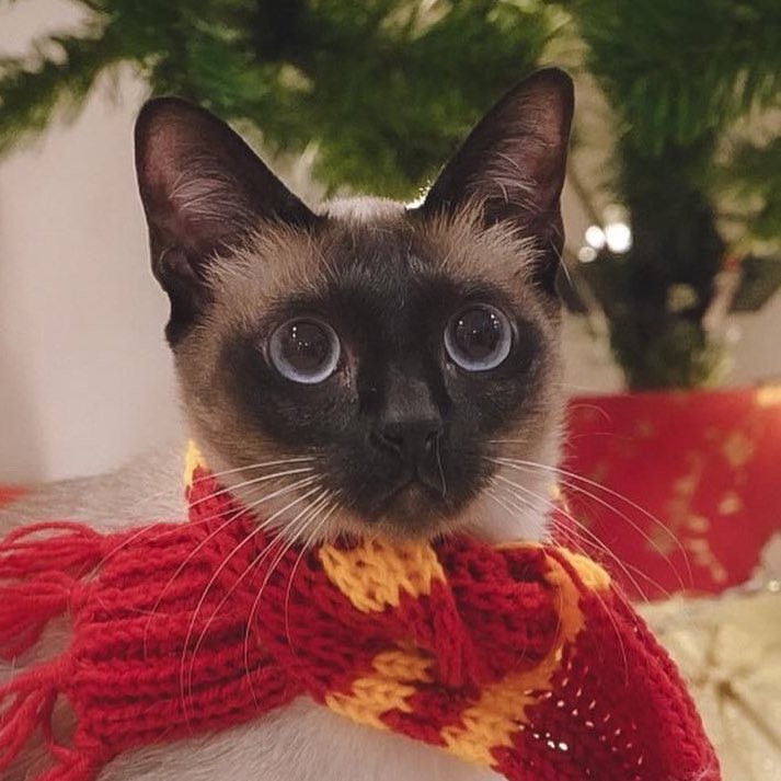 จีบตอนเด็ก เป็นวิญญาณร้ายตอนโต