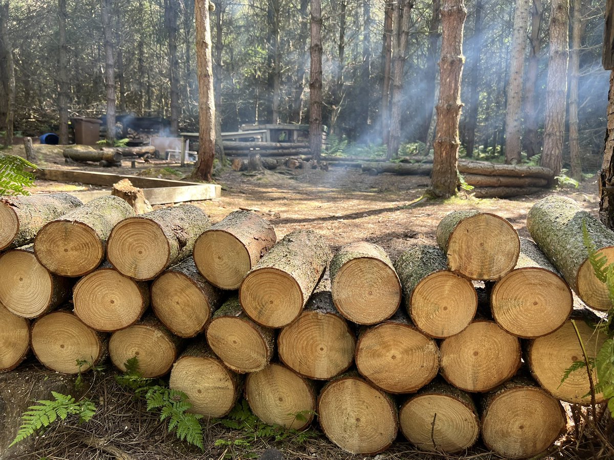 HTAdventureCo's tweet image. A bit of #woodtherapy