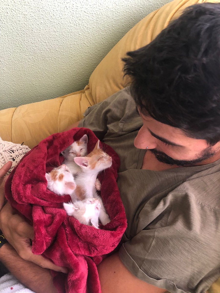 Pues que mi hija se encontró con 4 gatitos en una finca donde el dueño pensaba "deshacerse" de ellos.
Tocó: baño, desparasitado y alimentación.
Sacarlos del lamentable estado una odisea. Y tan agradecidos, tan cariñosos.

Ahora, donarlos a familias que les den cariño.
Os animais?