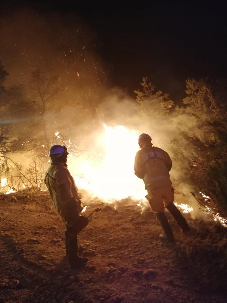 sis_2b's tweet image. Les sapeurs-pompiers @SIS_2A @Sis_2b et les forestiers-sapeurs de la Collectivité de Corse @IsulaCorsica engagés sur le feu de Mostuéjouls en #Aveyron en action de feu tactique cette nuit.
Excellent accueil et parfaite intégration au dispositif opérationnel.
#Aiutu è #Sulidarità