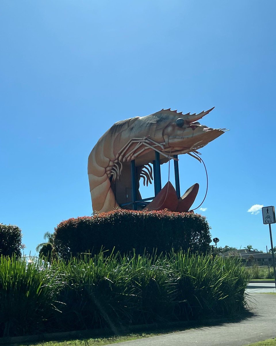 JennyPearse1's tweet photo. Following the road to where it takes us!!! 3 years between visits and a whole lot of stuff has happened in that time. Super excited for what’s ahead and still so much in love with this part of Australia 🥰☀️ #jenesisgems #familytime #family #ballina #travel #surpriseiscoming https://t.co/NabfSXl72l