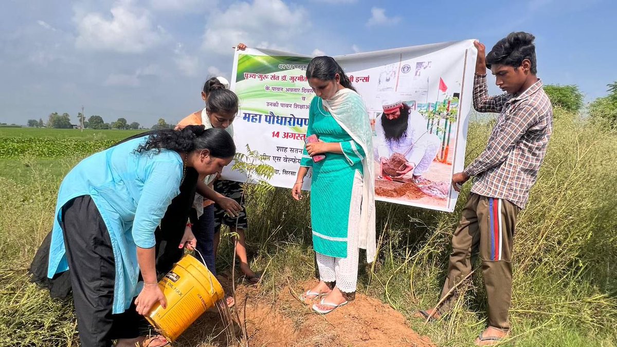 OfficialMSGfc's tweet photo. To celebrate the pious Incarnation Day of Saint Dr Gurmeet Ram Rahim Singh Ji Insan, #DeraSachaSauda volunteers from Naraingarh, Ambala, Haryana organised a Tree Plantation Campaign.

#TreePlantation #PlantATree #SelfieWithTree https://t.co/kJyduXvp0R