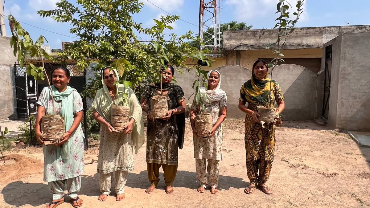 OfficialMSGfc's tweet photo. To celebrate the pious Incarnation Day of Saint Dr Gurmeet Ram Rahim Singh Ji Insan, #DeraSachaSauda volunteers from Naraingarh, Ambala, Haryana organised a Tree Plantation Campaign.

#TreePlantation #PlantATree #SelfieWithTree https://t.co/kJyduXvp0R