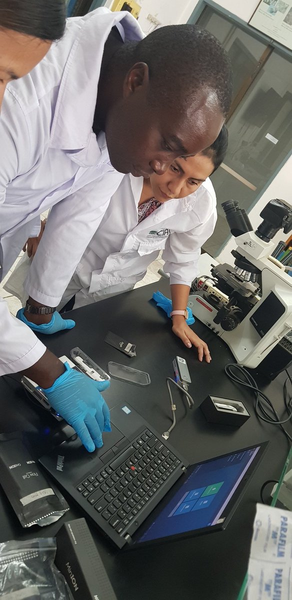 Samar Sheat, Ph.D.🌿 (@samarsheat) on Twitter photo When great virologists meet <a href="/WJCuellar/">Wilmer Cuellar</a> and <a href="/DrStephanWinte1/">Dr. Stephan Winter</a>,brainstorming on a high level. Interesting discussions on #cassava viruses happening in the lab It is a great pleasure to meet you again <a href="/WJCuellar/">Wilmer Cuellar</a> and see the establishment of #nanopore in Lao from your wonderful team When great virologists meet <a href="/WJCuellar/">Wilmer Cuellar</a> and <a href="/DrStephanWinte1/">Dr. Stephan Winter</a>,brainstorming on a high level. Interesting discussions on #cassava viruses happening in the lab It is a great pleasure to meet you again <a href="/WJCuellar/">Wilmer Cuellar</a> and see the establishment of #nanopore in Lao from your wonderful team