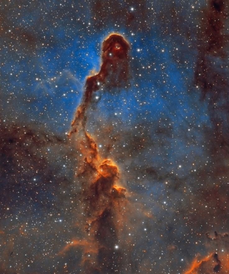 Julio Maiz On Twitter Ic1396 Elephant Trunk Nebula By Silvayn Lefebte Julio Maiz On Twitter Ic1396 Elephant Trunk Nebula By Silvayn Lefebte