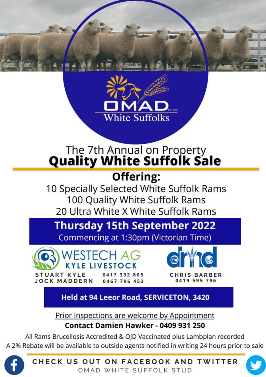 Upcoming on property ram sale mark it in your diary’s if your looking for a few top quality rams.