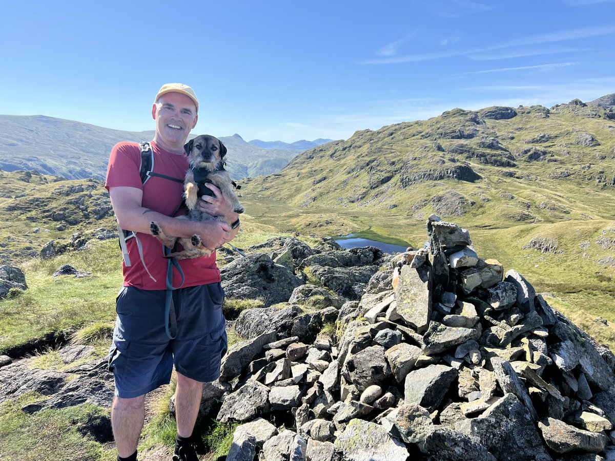 Manclee's tweet photo. #bessyboot 203/214 #rosthwaitefell #lakedistrict #cumbria #wainwrights #wainwright #hiking #hikinguk @lakedistrictnpa @wainsoc @wkthewainrights @WainwrightRocks @PictureCumbria @214Wainwrights @images_lake #lakedistrictnationalpark https://t.co/pyEoawgtq3