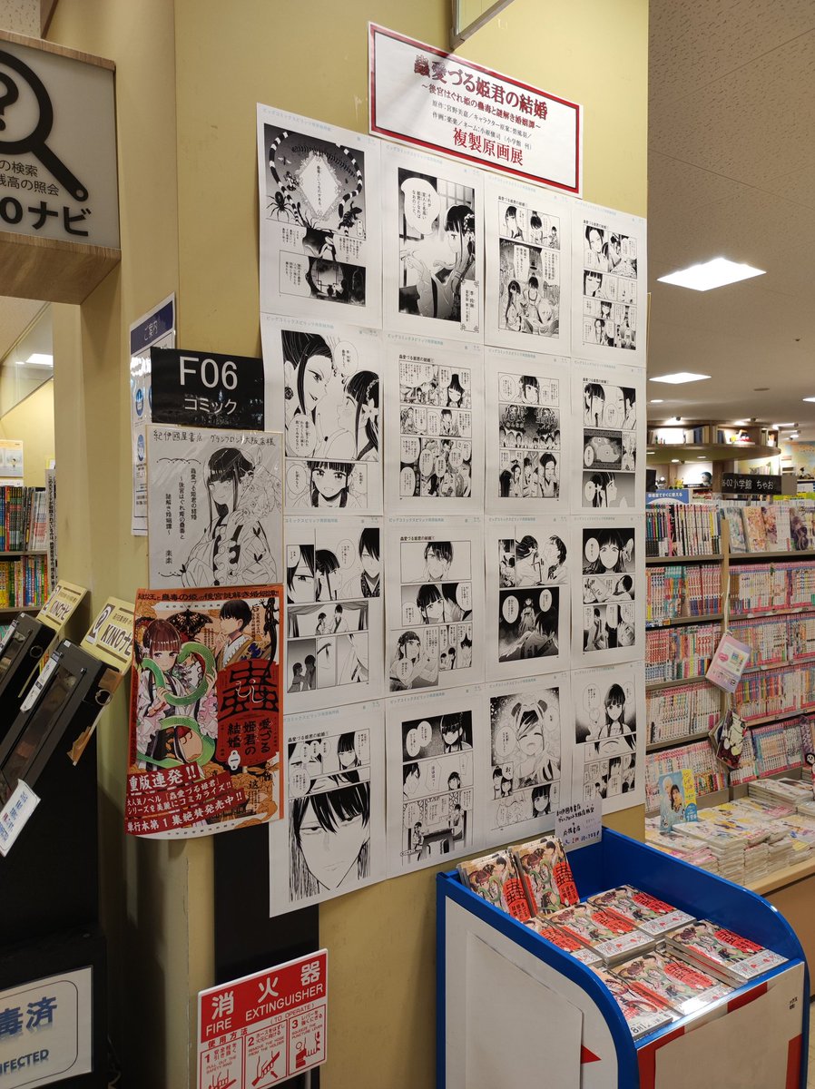 紀伊國屋書店グランフロント大阪店さんで写真を撮らせて頂きました
色紙や複製原画を大きく展示していただき、ありがとうございました😄 