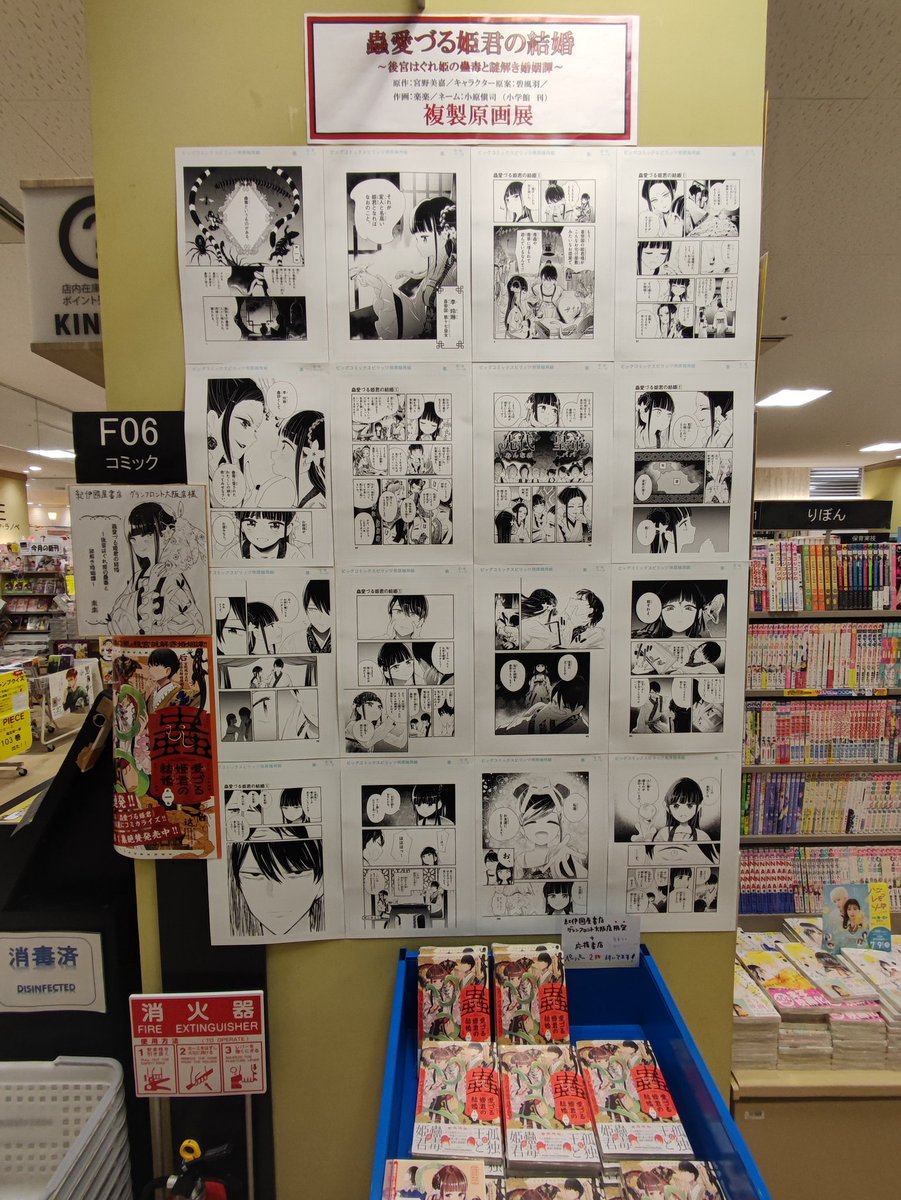 紀伊國屋書店グランフロント大阪店さんで写真を撮らせて頂きました
色紙や複製原画を大きく展示していただき、ありがとうございました😄 