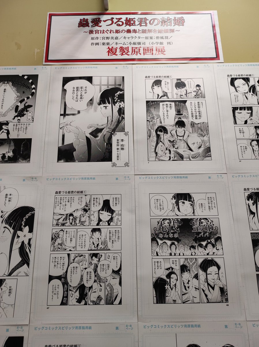 紀伊國屋書店グランフロント大阪店さんで写真を撮らせて頂きました
色紙や複製原画を大きく展示していただき、ありがとうございました😄 