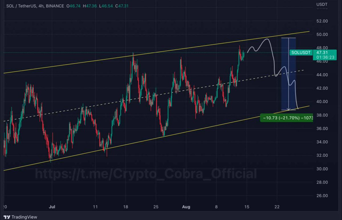 _crypto_cobra's tweet photo. #SOL SHORT 🔴 SET-UP 

Entry : 47.30-48.70-49.80

Targets : 46.30-44.70-42.50-40.20

~Invalidation if price close above 52

@Crypto_Cobra_Official

🔥To get this type of signals
⤵️🔗
https://t.co/30HWsGSpw9

#BTC #Binance #Coinbase #KuCoin #bybit #eth $btc https://t.co/VdJuMDEqbe