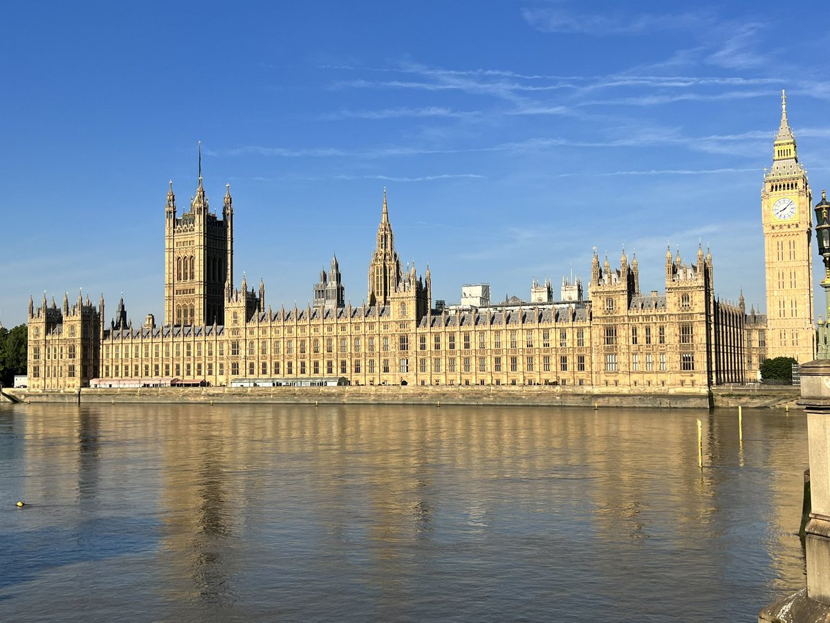 anna holligan 🎙 tweet media