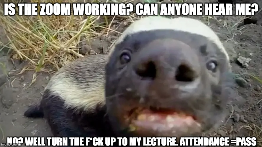 AngrierBadger's tweet photo. Getting prepared for the return to actual teaching after summer holidays. #badger4life #death2zoom #possumtastegood https://t.co/i8wYwF4Cde