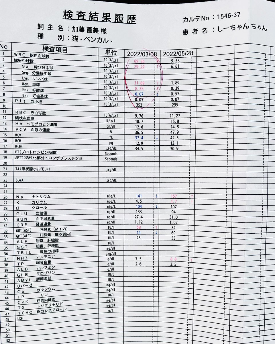 ぺとるとん 犬も猫も 人も大好き Petlton Twitter