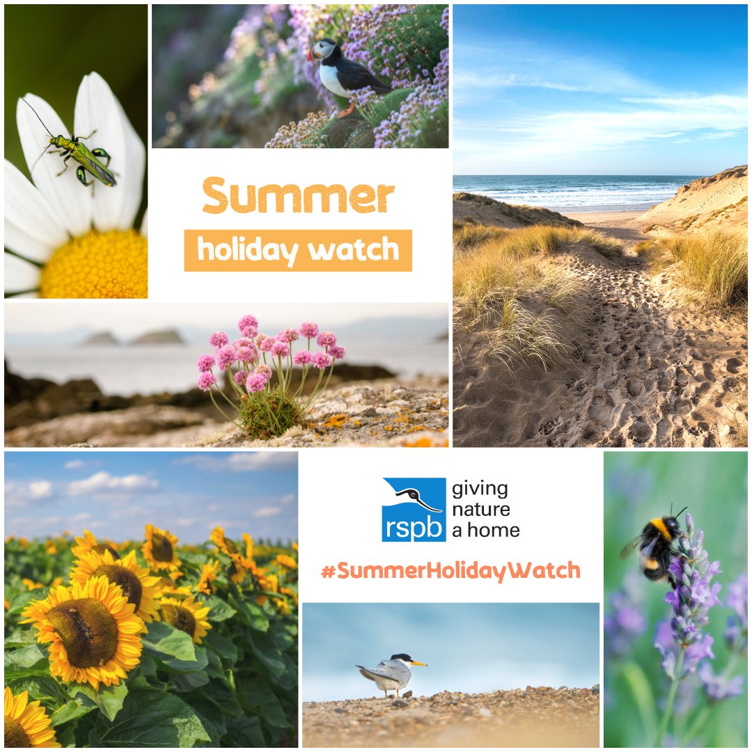 Send us your photos of the UK in summer to #win! 💛

We’ve got a £300 <a href="/holcottagesuk/">holidaycottages.co.uk</a> voucher to give away, as well as some wonderful RSPB (<a href="/Natures_Voice/">RSPB</a>) goodies for five runners-up.

To enter our #competition:
☀️ REPLY to this tweet with your best summertime photo

Ends 19/09.
