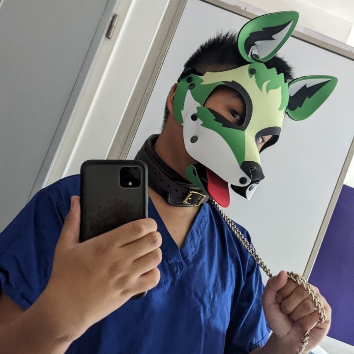 Pithecomehere's tweet image. Awrooo?