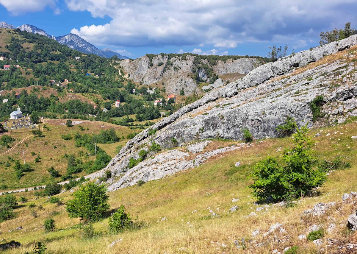 Gerrie Abel tweet media