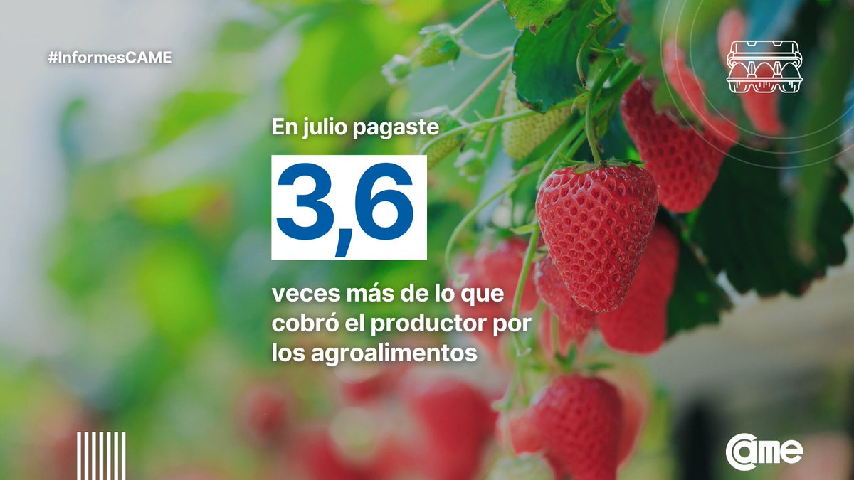 📣 En julio los #consumidores pagaron 3,6 veces más en las #góndolas de lo que cobraron los productores por los #agroalimentos
 
📌 En promedio, la participación del productor en el precio final de venta fue del 25,6%.

🔗Accedé al informe completo en bit.ly/IPODJulio22