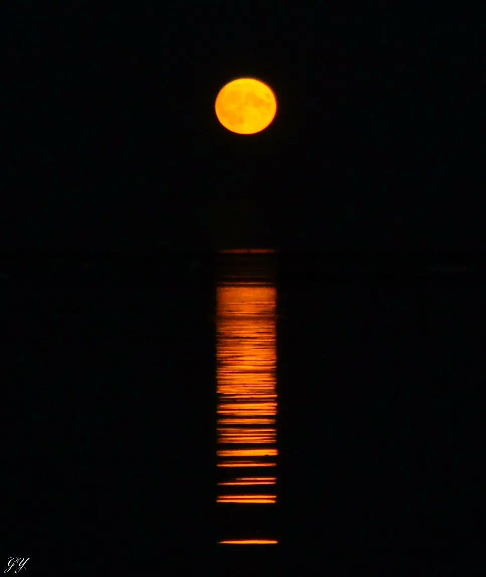 Good week 📸
<a href="/LovinDublin/">Lovin Dublin</a> <a href="/Lovindotie/">Lovin Ireland</a> <a href="/VisitDublin/">Visit Dublin</a> <a href="/Dublin_ie/">Dublin</a> <a href="/Independent_ie/">Irish Independent</a> <a href="/IrishTimes/">The Irish Times</a> <a href="/MagnumPhotos/">Magnum Photos</a> <a href="/AstronomyNow/">Astronomy Now</a> <a href="/JOEdotie/">JOE.ie</a> <a href="/FM104/">FM104</a> <a href="/Dublin_BnW/">DublinIsBlack&White</a>
<a href="/IrelandB4UDie/">Ireland Before You Die</a> <a href="/98FM/">98FM</a> <a href="/Q102FeelGood/">Dublin's Q102</a> <a href="/NatGeoYourShot/">NG Your Shot</a> <a href="/NatGeo/">National Geographic</a> <a href="/NatGeoPhotos/">Nat Geo Photography</a>