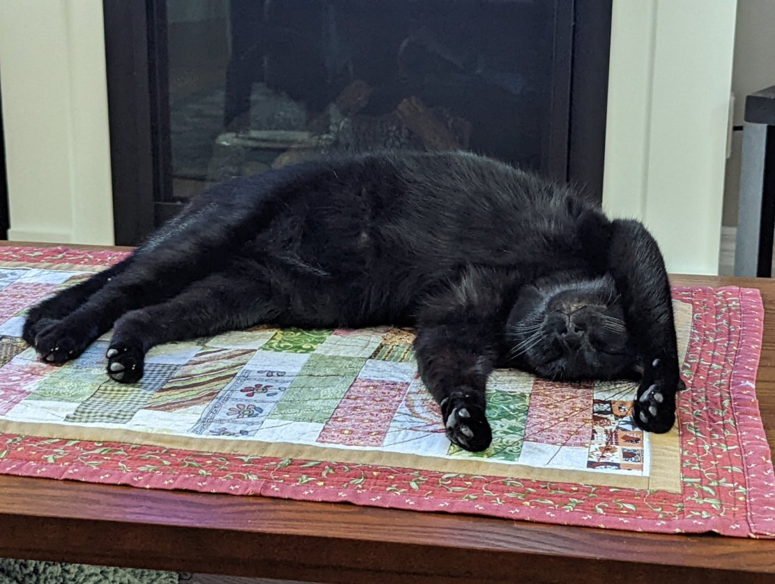 Robbles88's tweet image. Today I don't feel like doing anything...