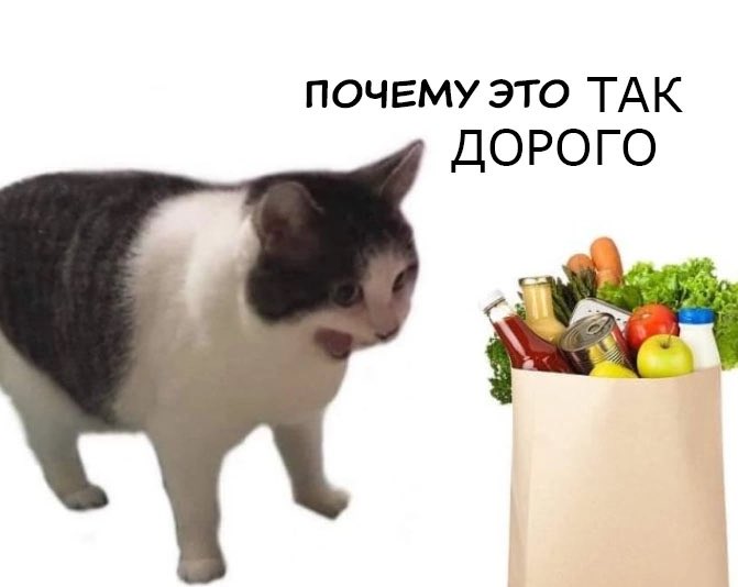 взрослая жизнь это БУКВАЛЬНО